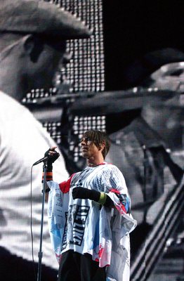 Red Hot Chili Peppers poster