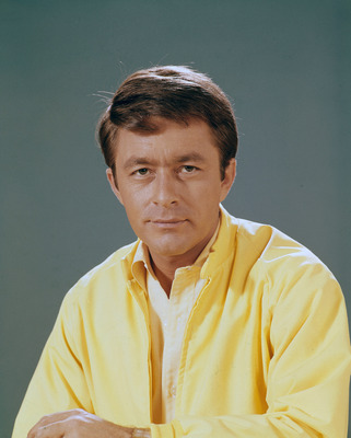 Bill Bixby poster