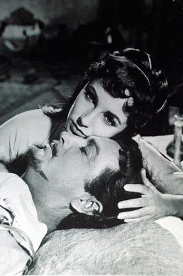 Robert Taylor poster