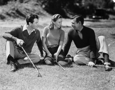 Robert Taylor poster