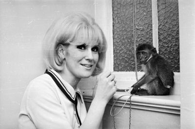 Dusty Springfield hoodie