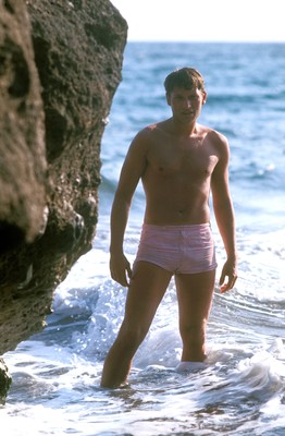 Johnny Hallyday poster