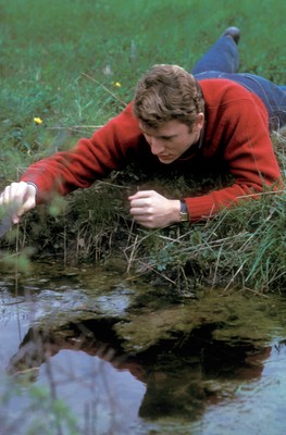 Johnny Hallyday poster