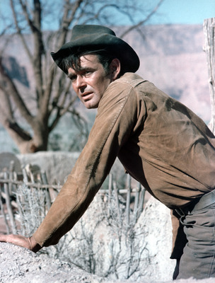 Stuart Whitman poster