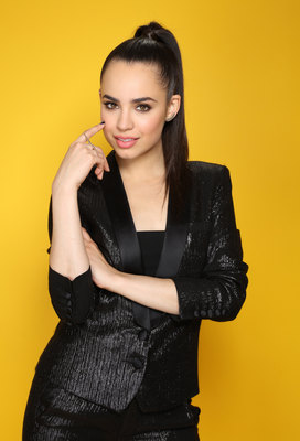 Sofia Carson poster