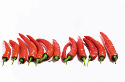 Peppers & Chiles poster