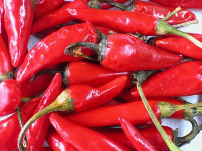 Peppers & Chiles poster