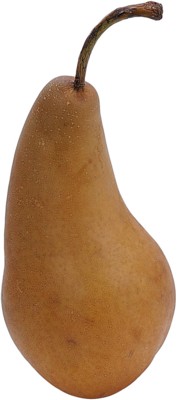 pear poster