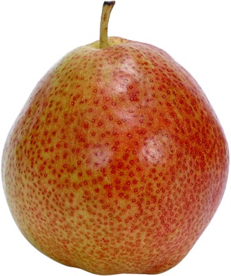 Pear poster