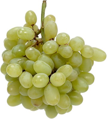 Grapes poster
