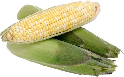 corn poster