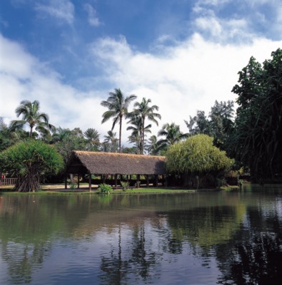 Architecture other poster