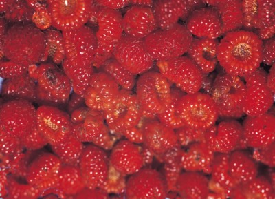 Raspberry poster