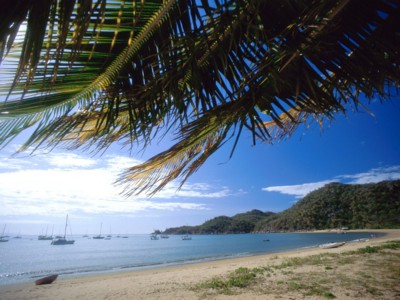 Australia sweatshirt